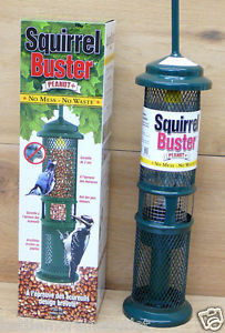 Clinging Bird Woodpecker Bird Feeder